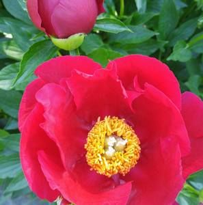 Meet your Posher, Jane